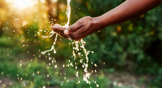 Blog Header Forever Chemicals_ Forever Consequences_ Updates on the PFAS Contamination Lawsuit