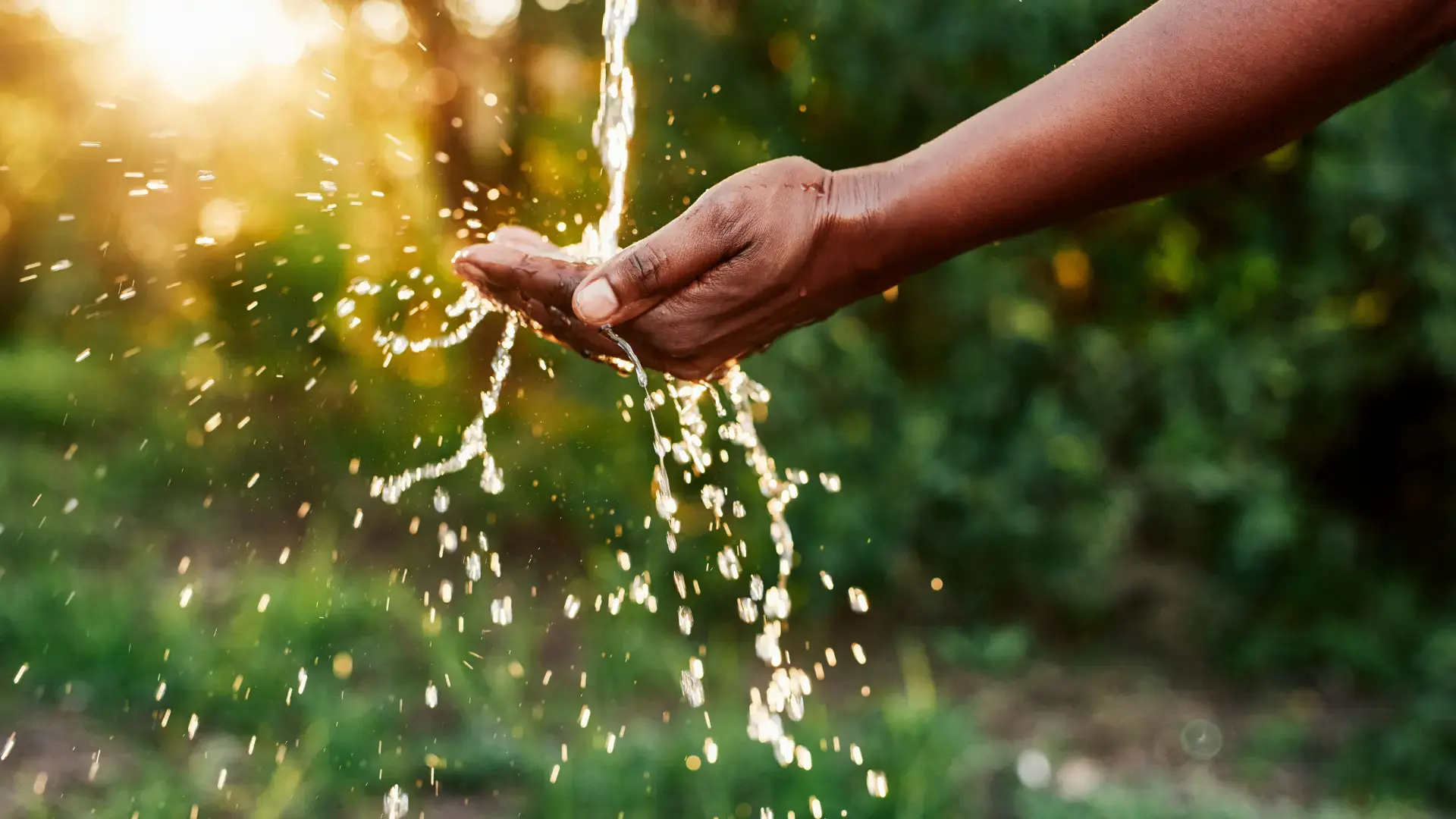 Blog Header Forever Chemicals_ Forever Consequences_ Updates on the PFAS Contamination Lawsuit