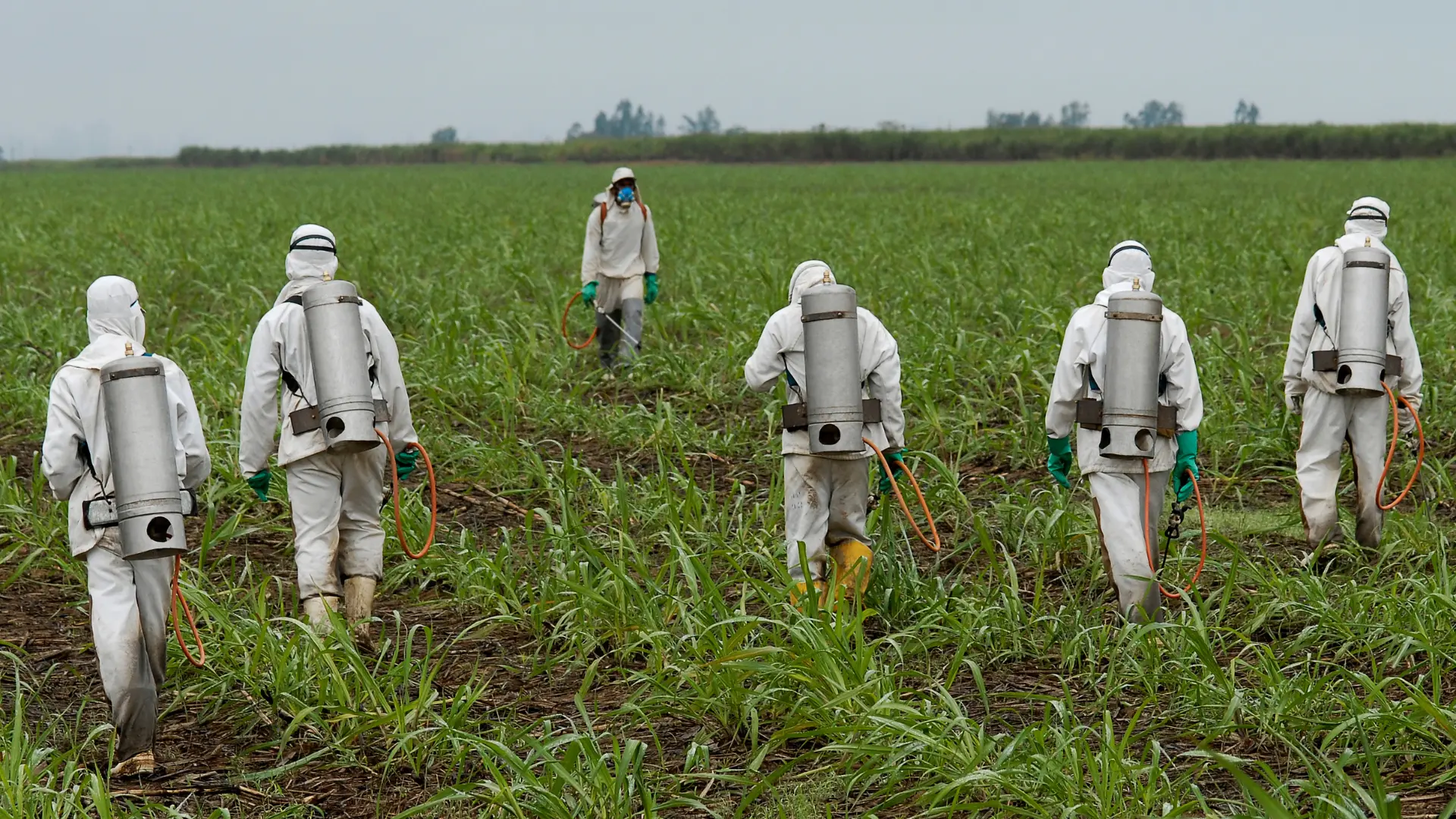 Updates on the Paraquat Lawsuit Broughton Partners