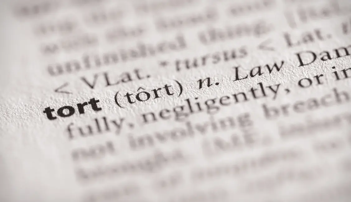 Mass Tort Terms Explained_ A Must-Know Guide for Attorneys